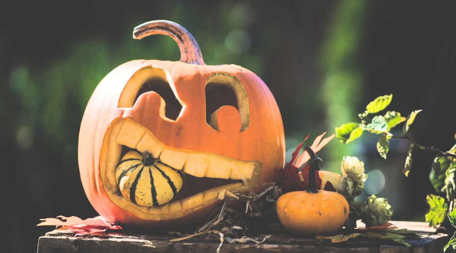 jack-o-lantern