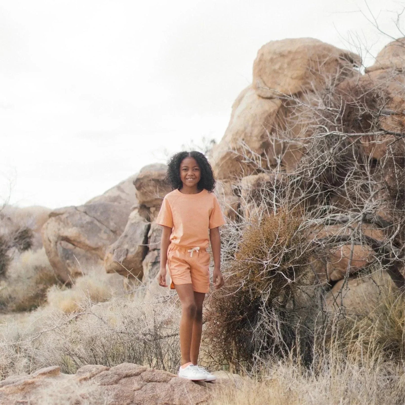 Ollie Shorts - Sherbet - Jackalo