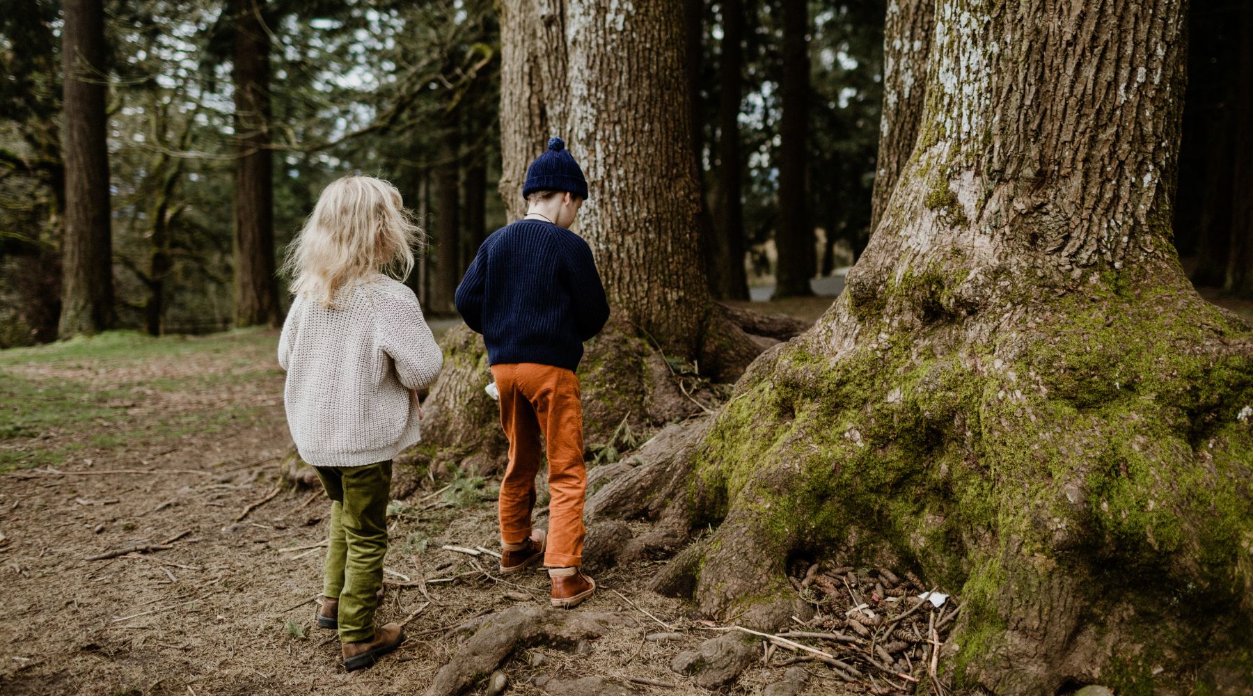 siblings walking in the woods