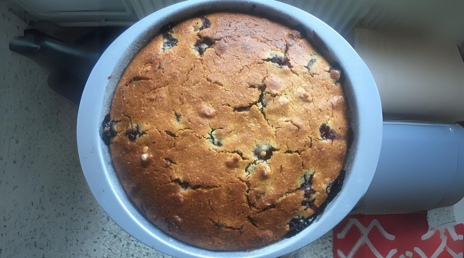 blueberry and chocolate cake