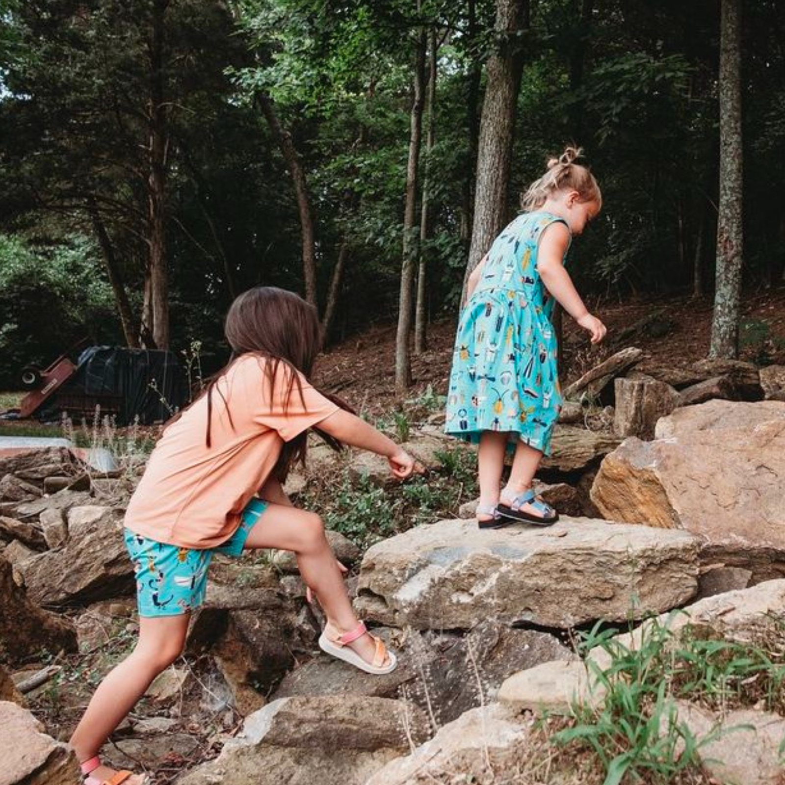Organic Cotton Beetle Mania Print Dress with Pockets