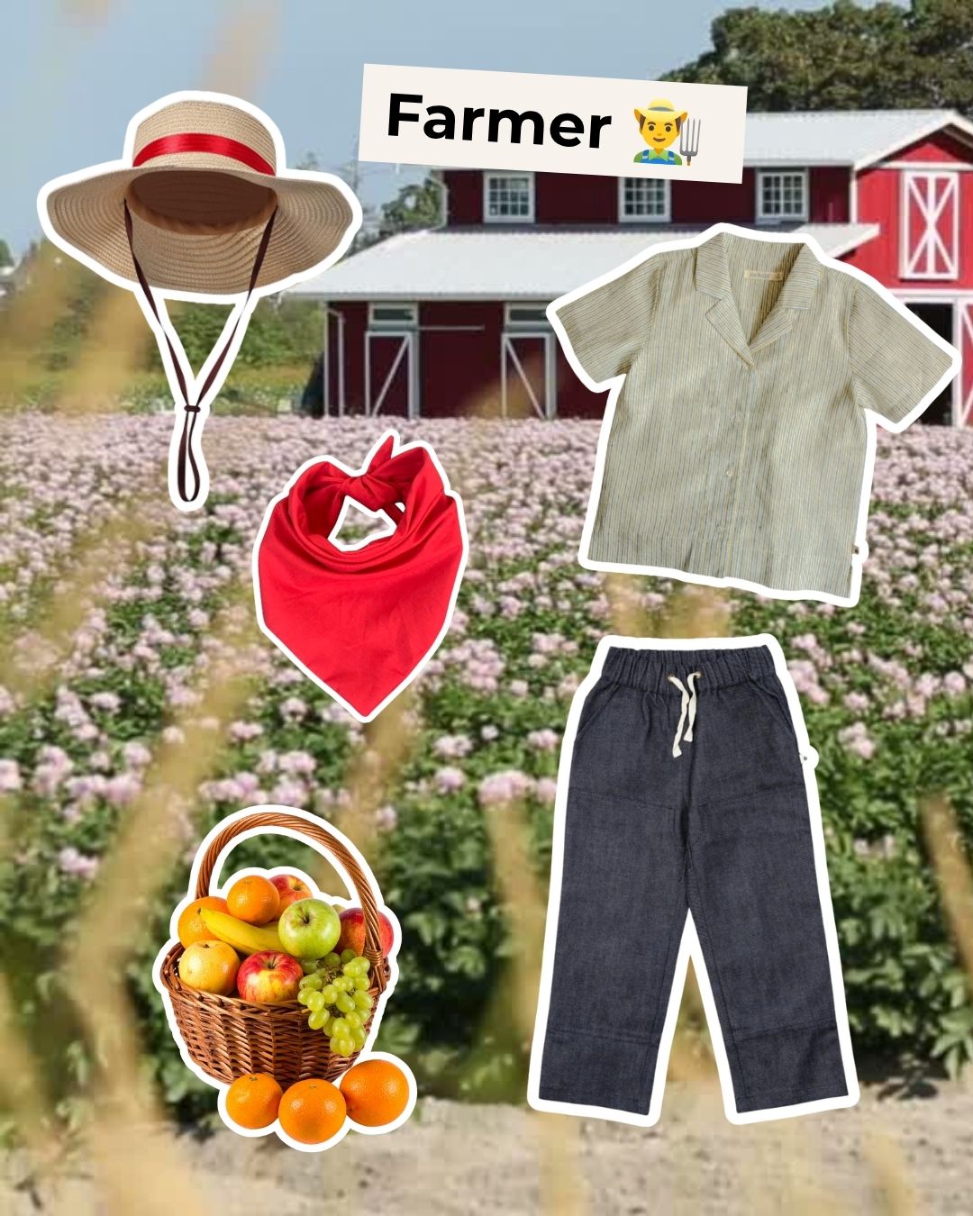 Farmer Costume